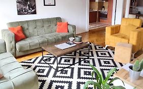 Central Spacious Apartment In Pristina